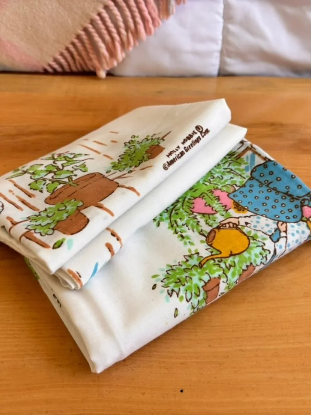 Set of Vintage 70's American Greetings Holly Hobbie pillowcases